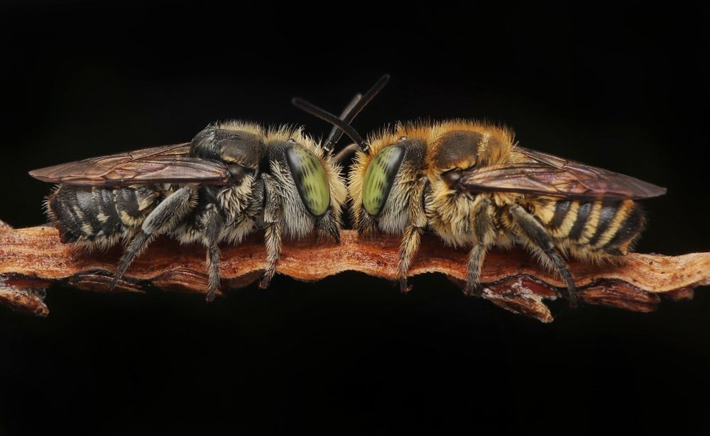 Photograph by Mark Kineth Casindac