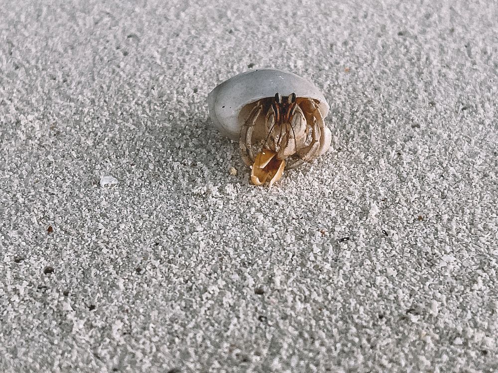 Photograph by Oleh Nantoi