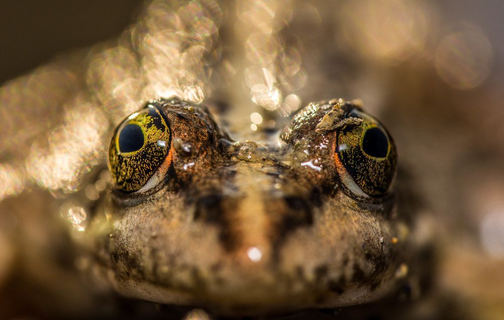 Photograph by Canel Ölgün