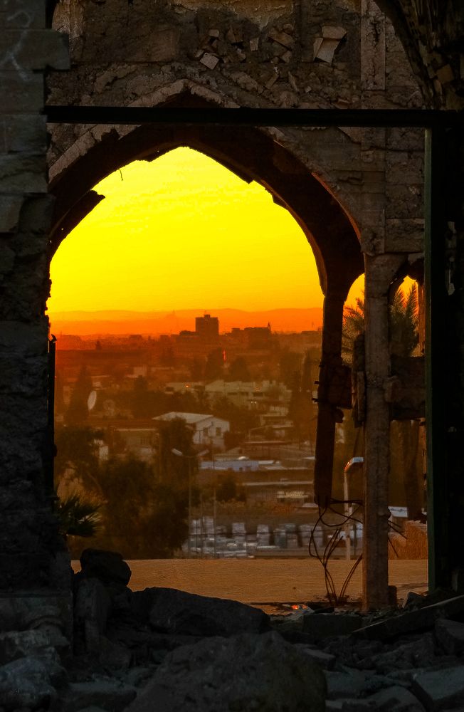 Photograph by انور الدرويش