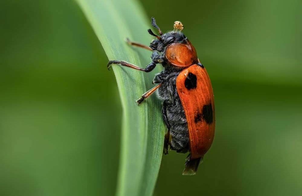 Photograph by Андрей Зимин