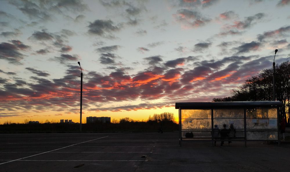 Photograph by Елена Рогова