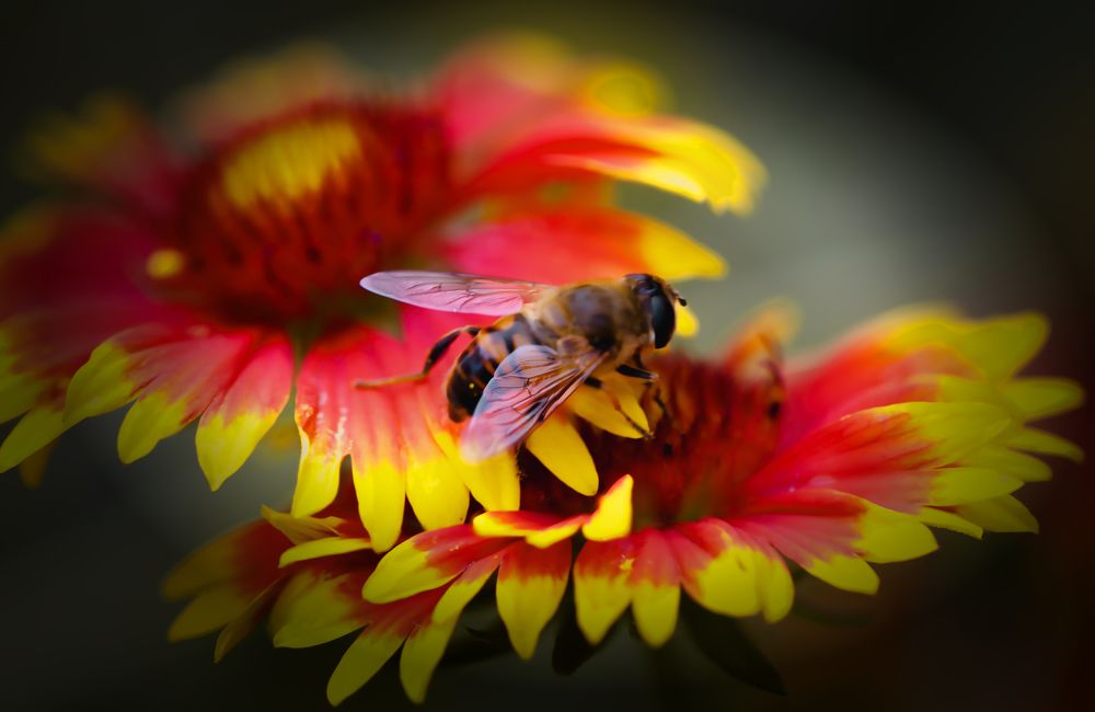 Photograph by Виктор Холодов