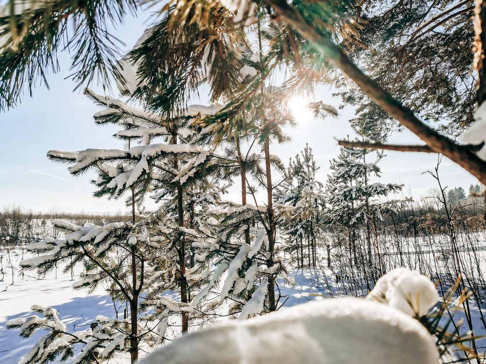 Photograph by Олег Назаров