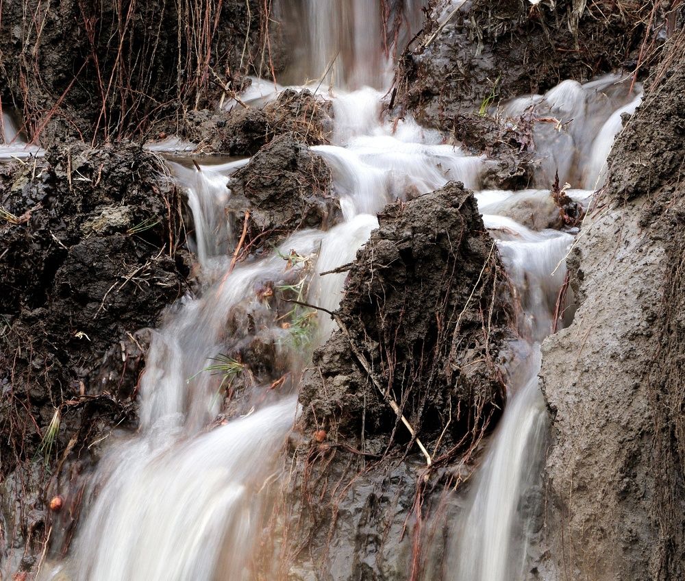 Фотография автора Abhijit Mukherjee