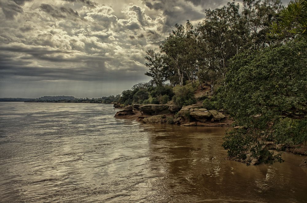 Photograph by Rox Boyer