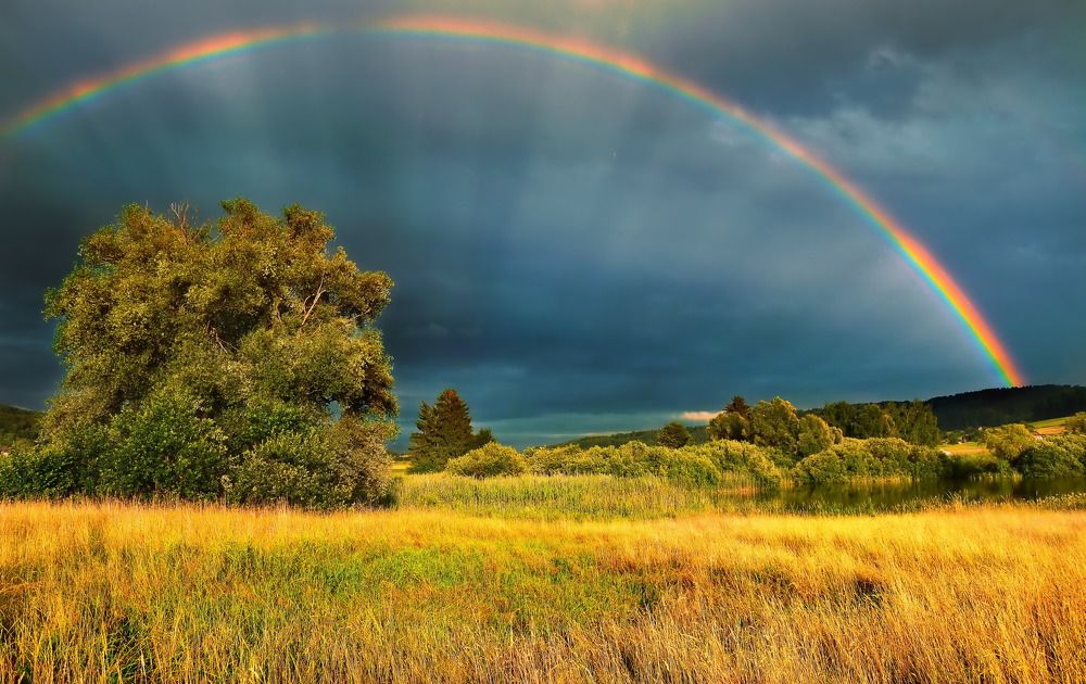 Photograph by Elena Wymann