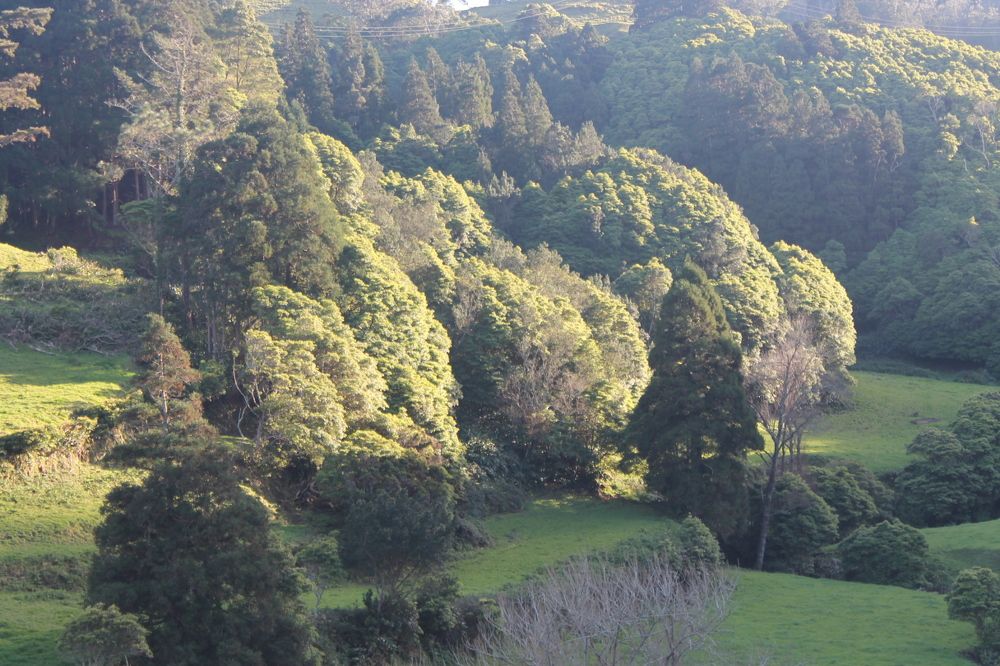 Photograph by João Ferreira