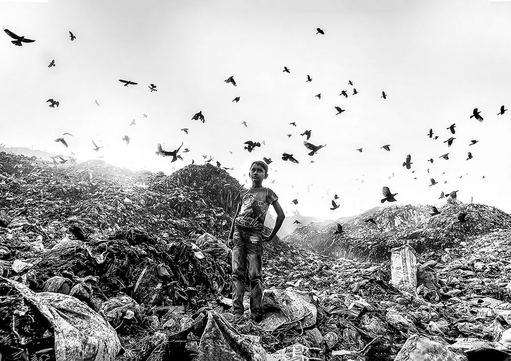 Photograph by Md. shamim ul Islam