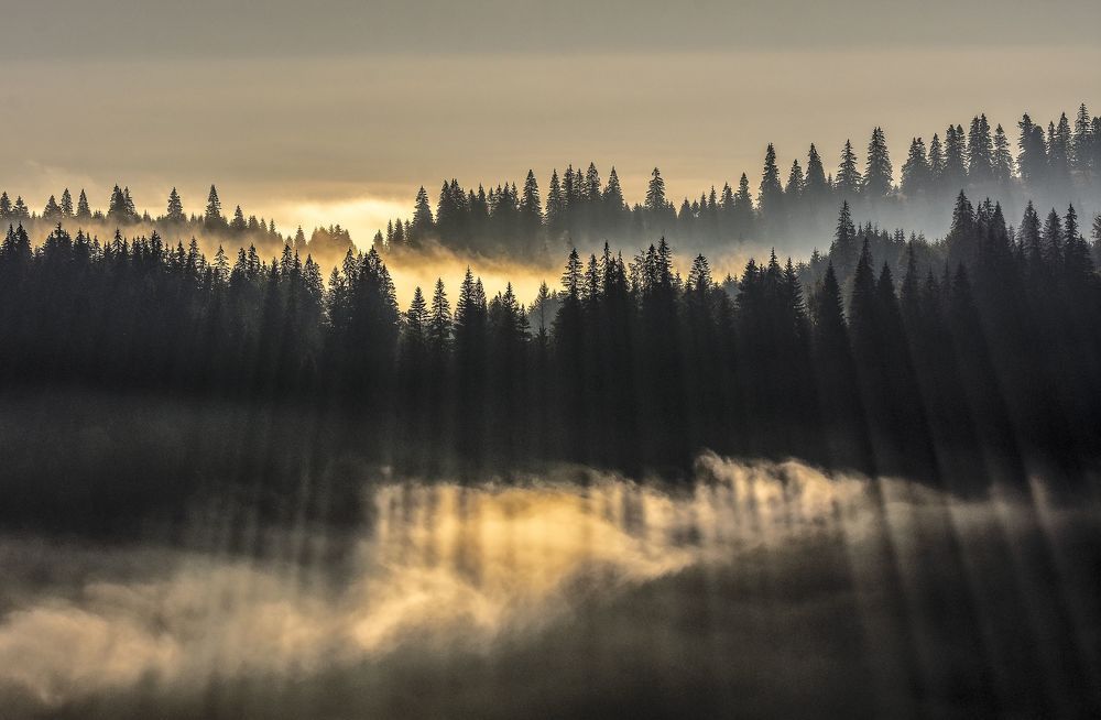 Photograph by Alin Bicas