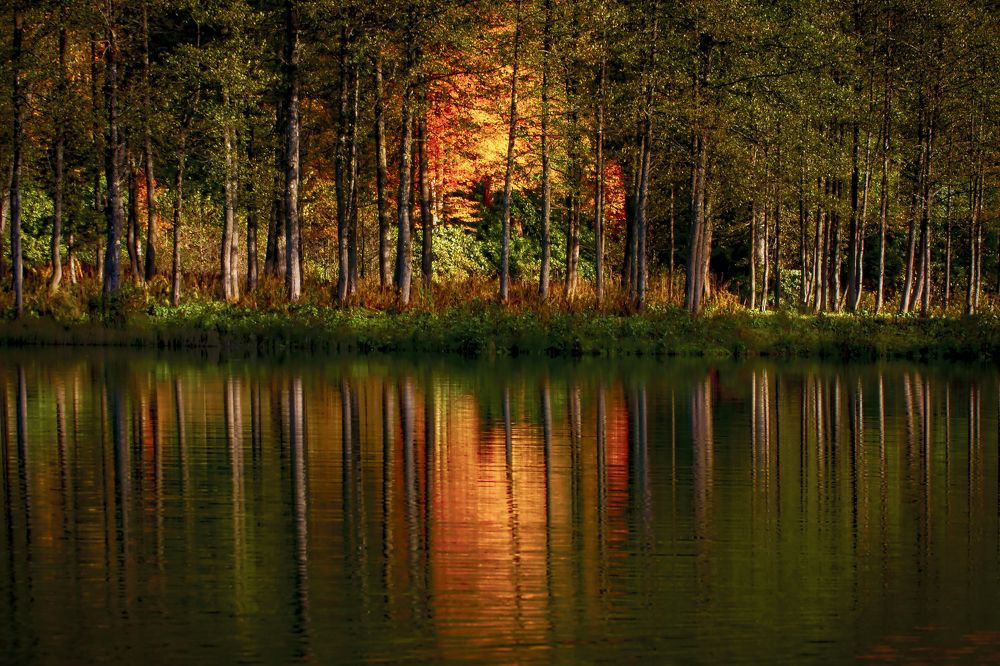 Photograph by Murat TOPAL