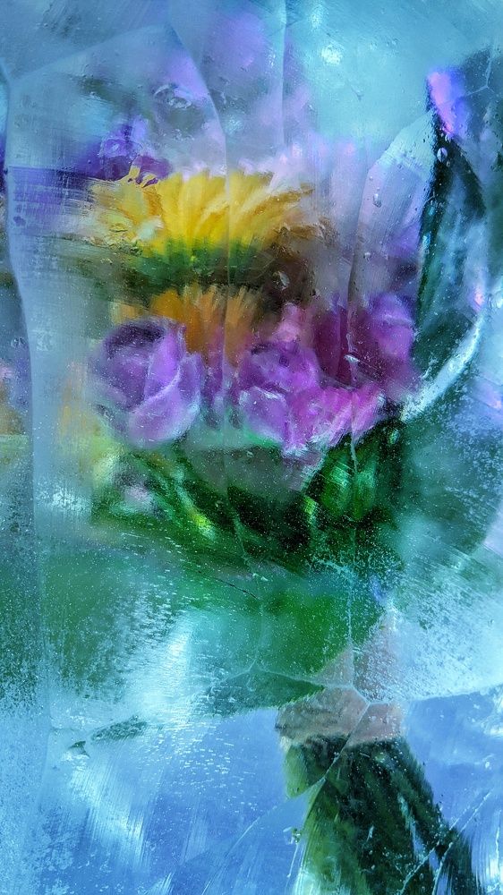 Photograph by Шамшин Александр