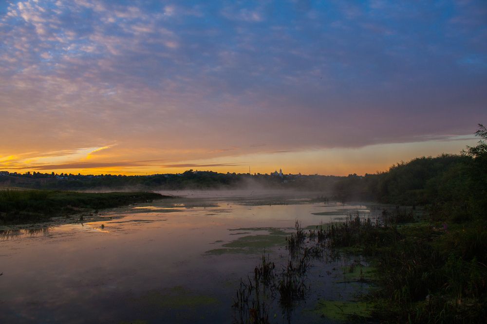Photograph by Любовь Нефедова