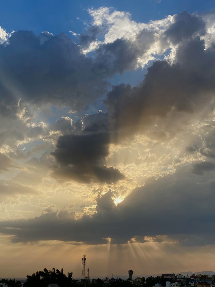 Photograph by Sharma Dr Megha