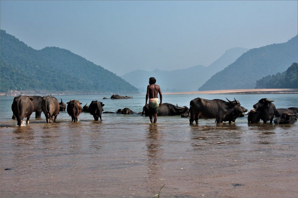 Photograph by LALUPRASAD SENAPATI