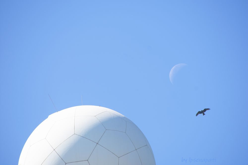 Photograph by LALUPRASAD SENAPATI