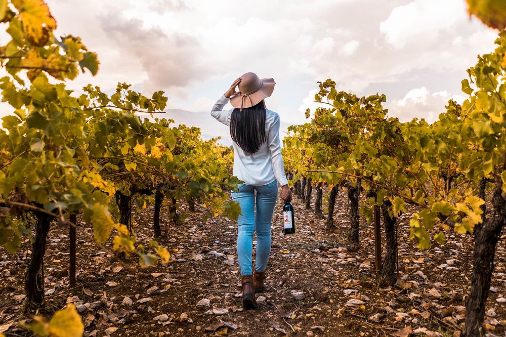 Photograph by Moe El Sabeh