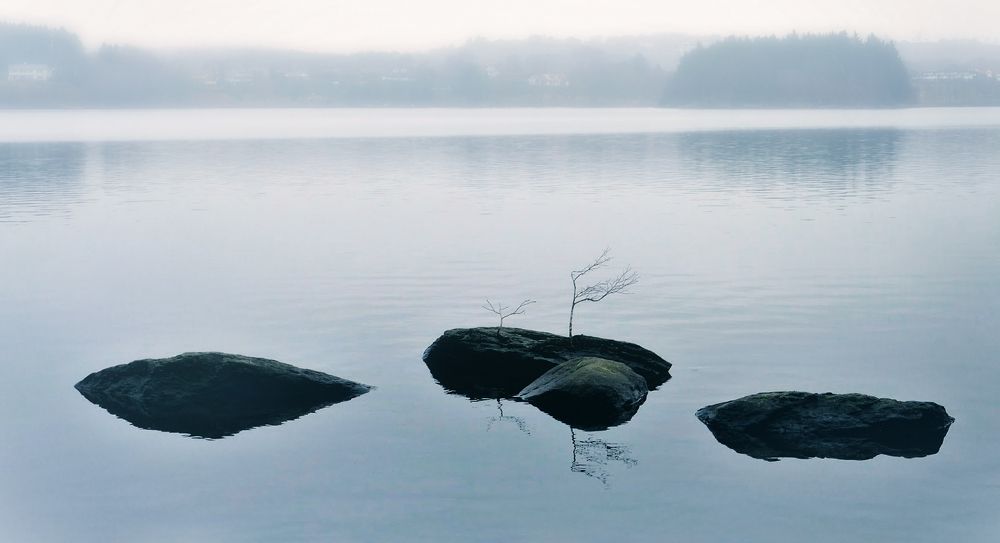 Photograph by Elena Yarantseva