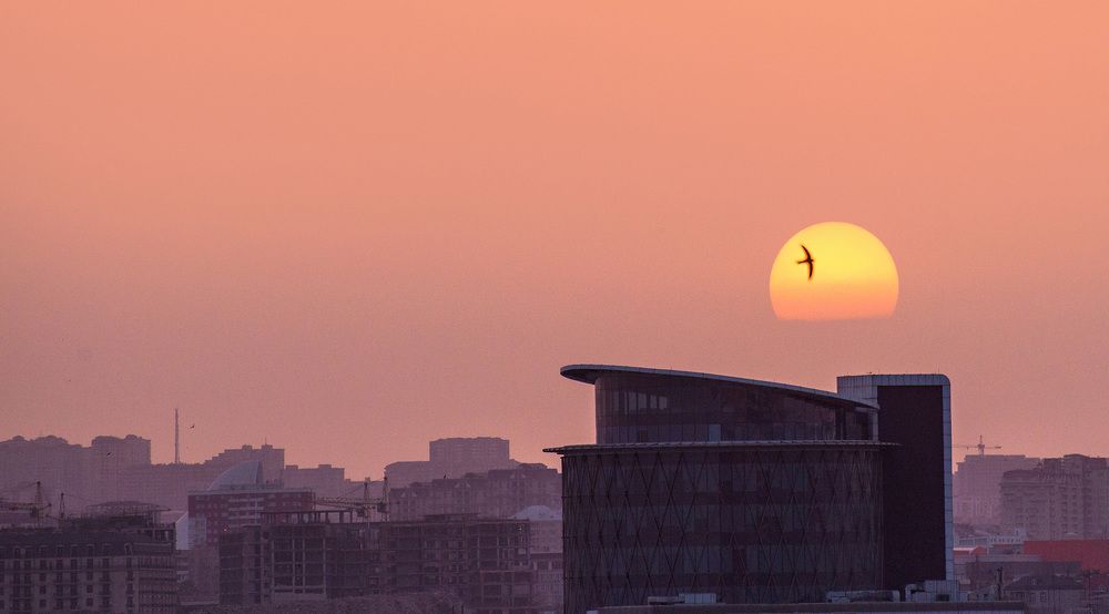 Photograph by Икмет Садыхов