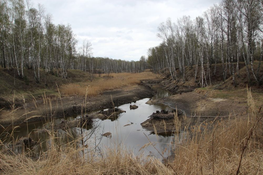 Photograph by Наталья Рыкова