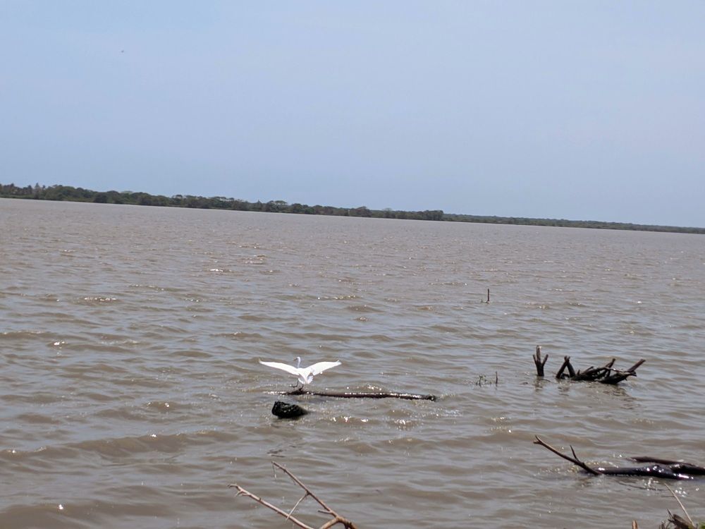 Photograph by Katty Maria Escalante Leguia