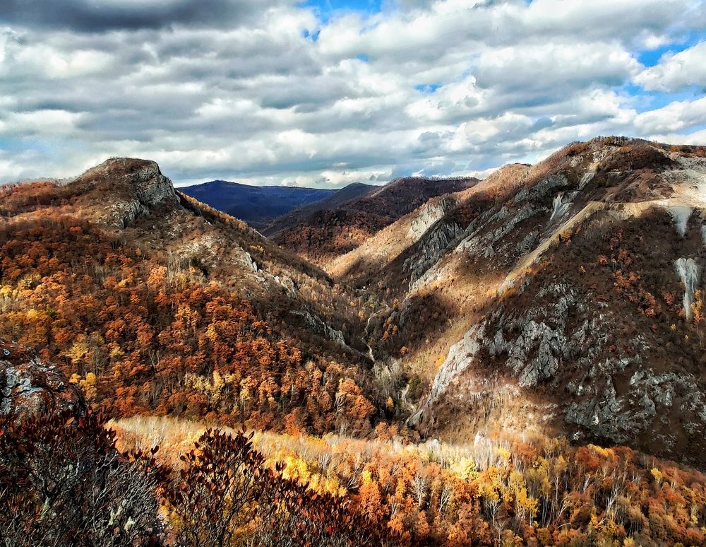 Photograph by Алексей Перегудин