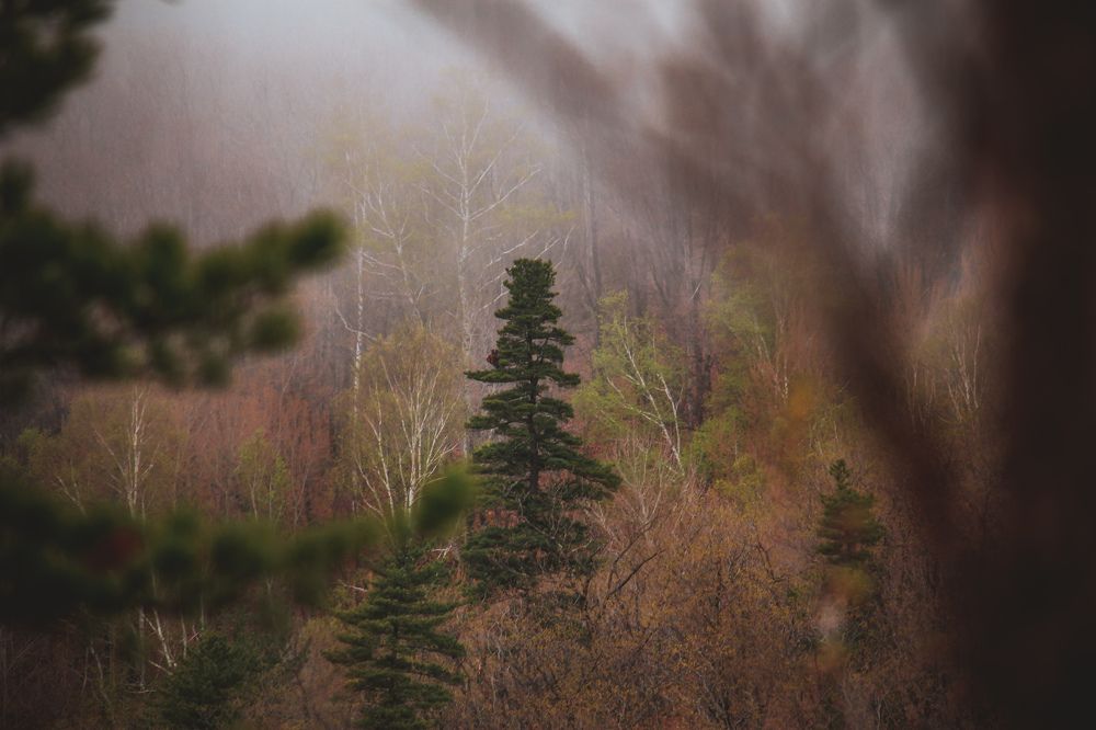 Photograph by Алексей Перегудин