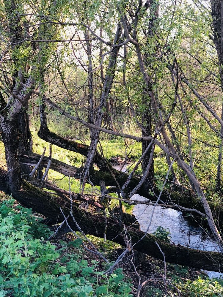 Photograph by Katsiaryna Yarmantovich