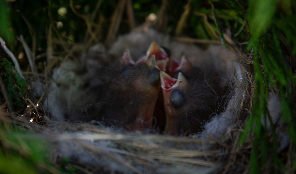 Photograph by Дмитрий Кашицин