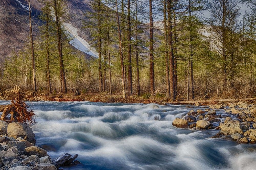 Photograph by Сергей Купчиков