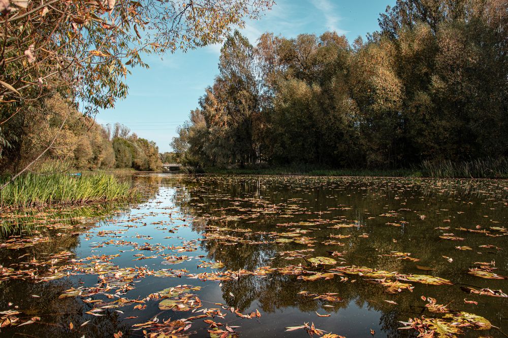 Photograph by Alexandr Bondar