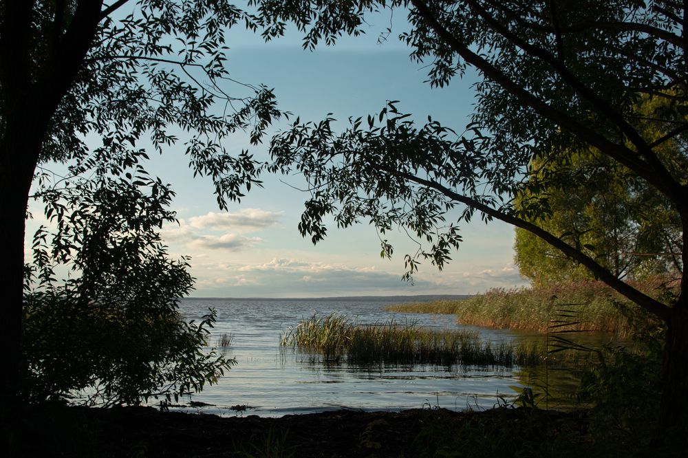 Photograph by Alexandr Bondar