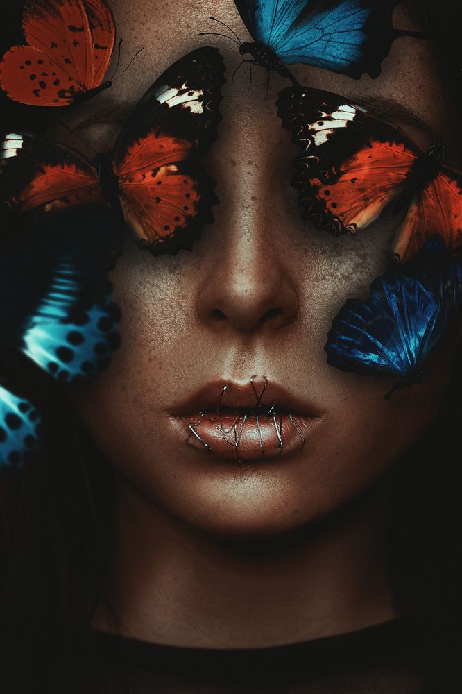 Фотография автора Steffi Grass