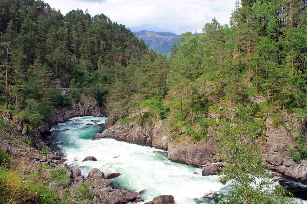 Photograph by Филиппов Олег