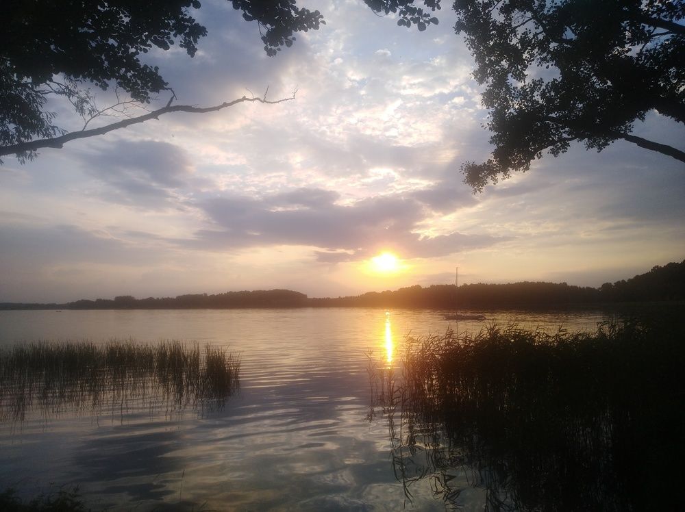 Photo #6288774