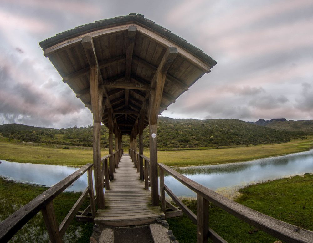 Photograph by Alejandro Yépez