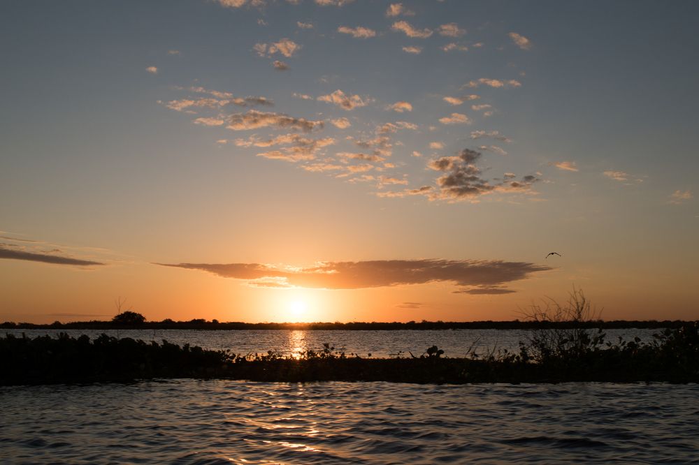 Photograph by Cecilia Piedrabuena