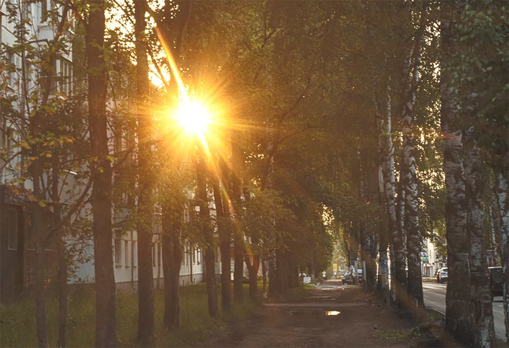 Photograph by миша