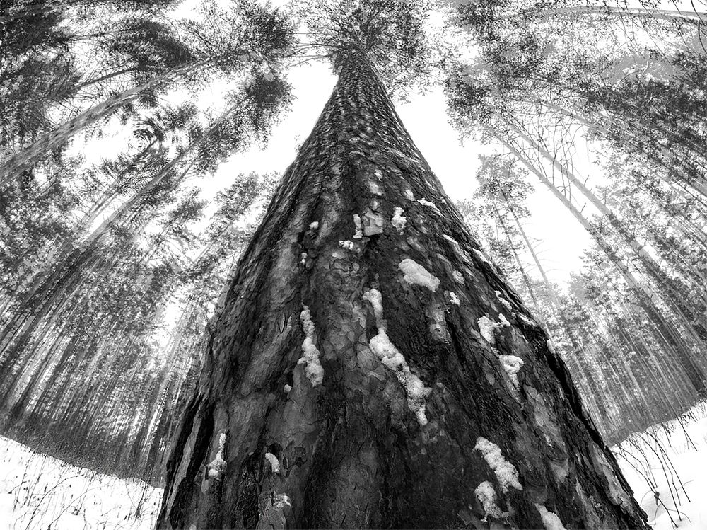 Photograph by Сергей Табатчиков