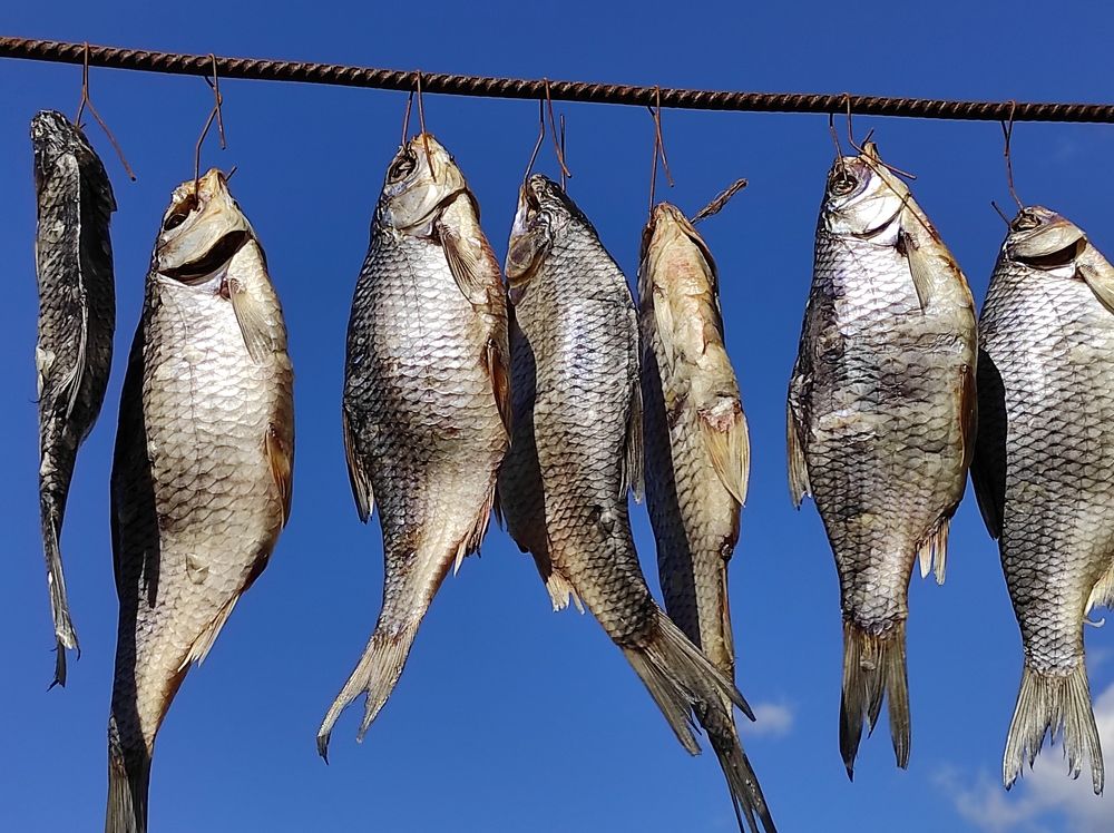 Photograph by Наталья Латыпова