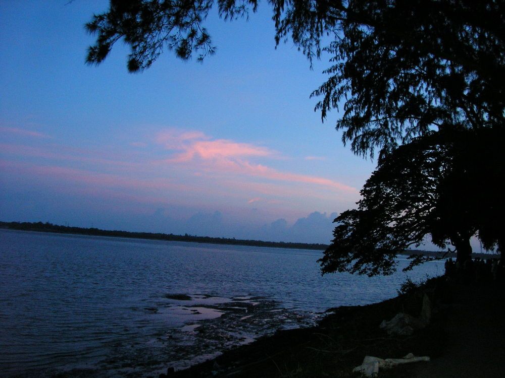 Photo #6289253