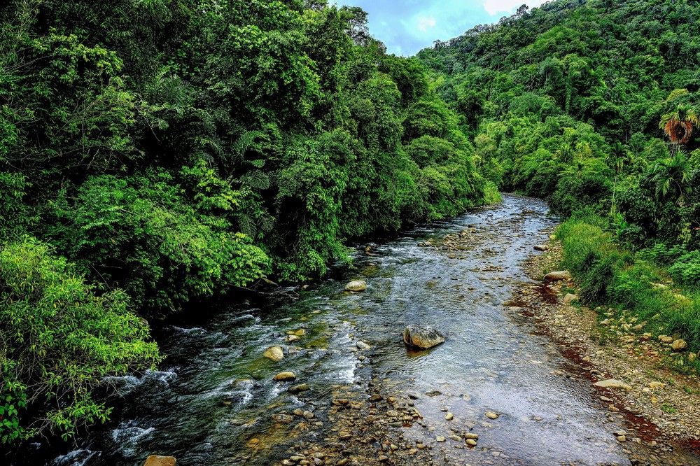 Photograph by Chee Fui Chin