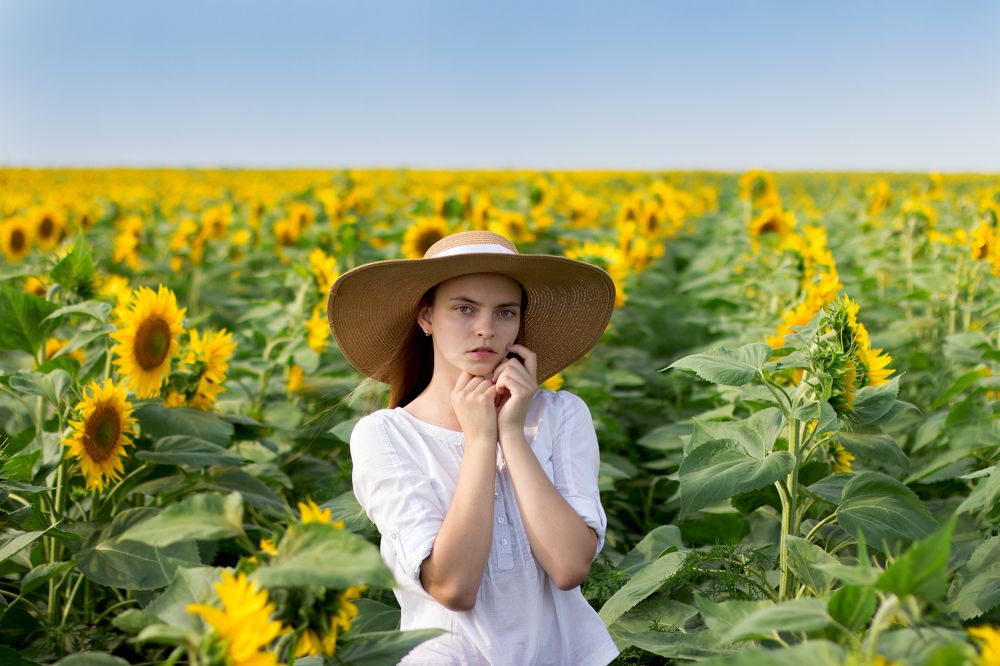 В подсолнухах