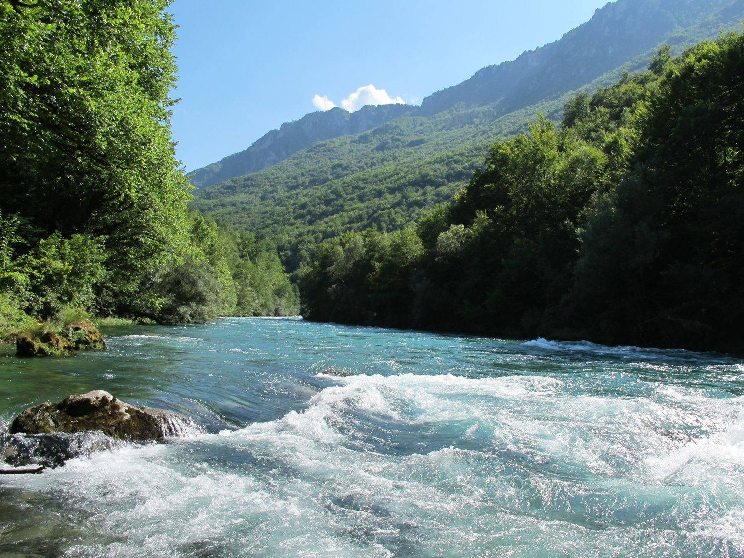 mountain river