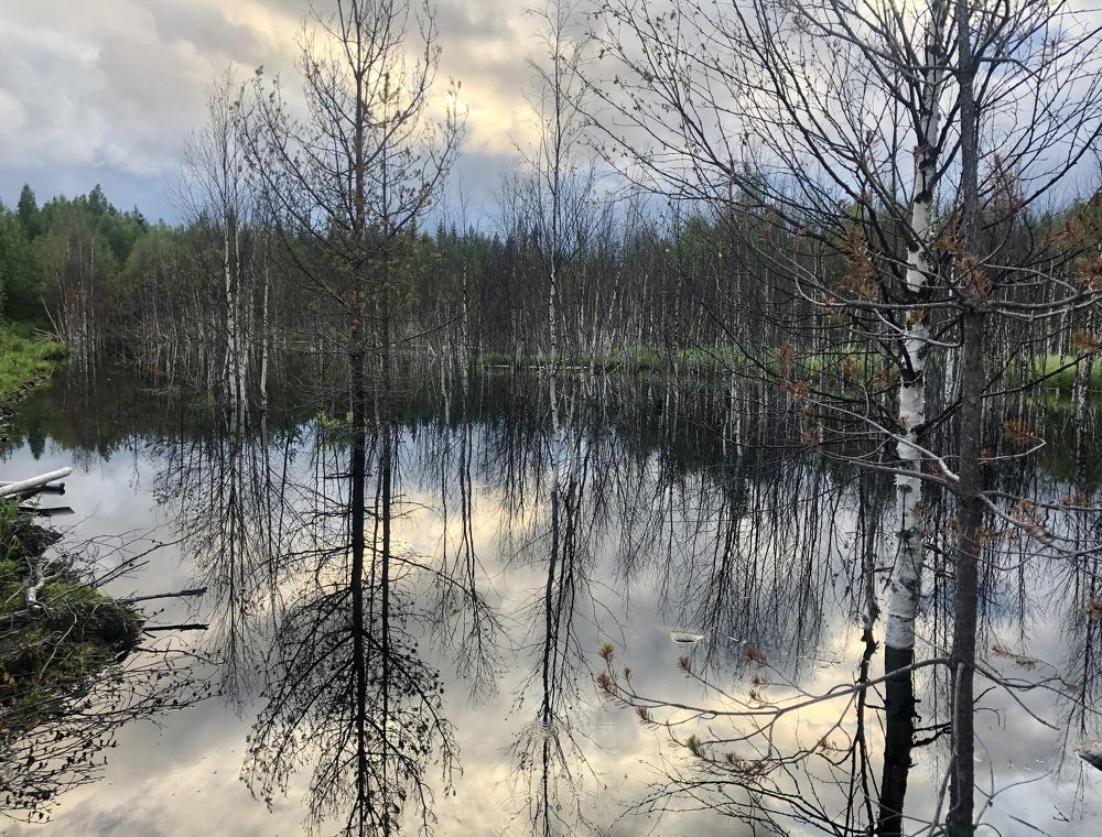 Photograph by ЮЛИЯ СУЛИМОВА