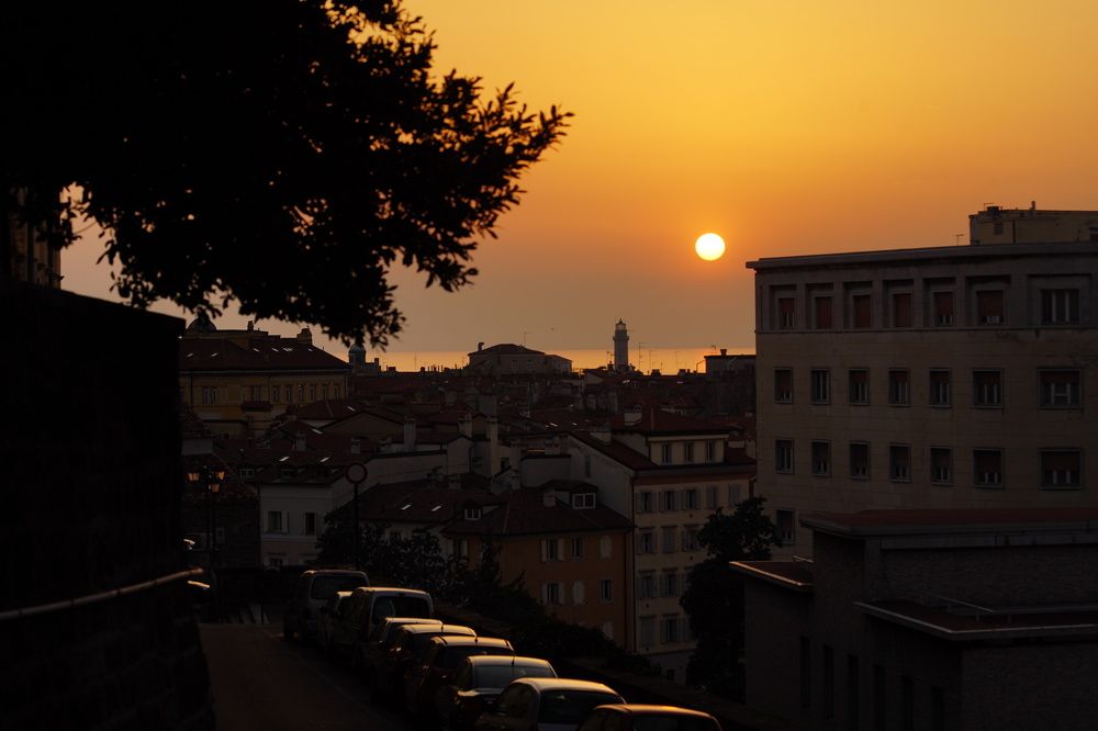 Photograph by Samantha Degrassi