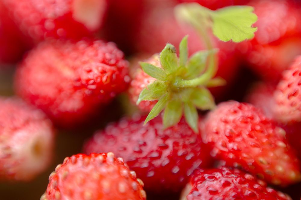 Photograph by Ilуа Chirkov