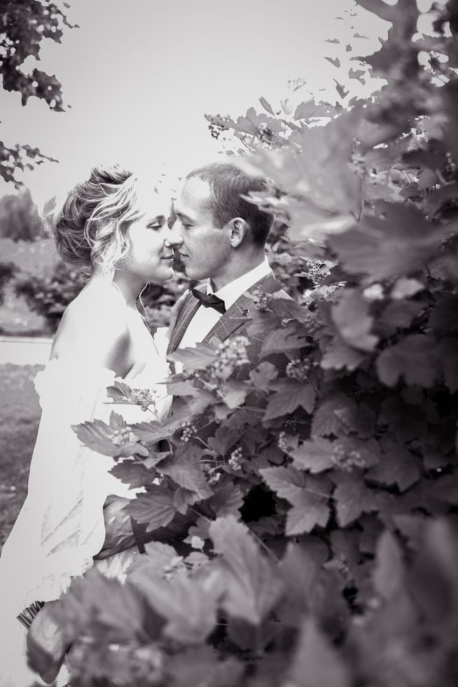 Photograph by Наталья Пушина