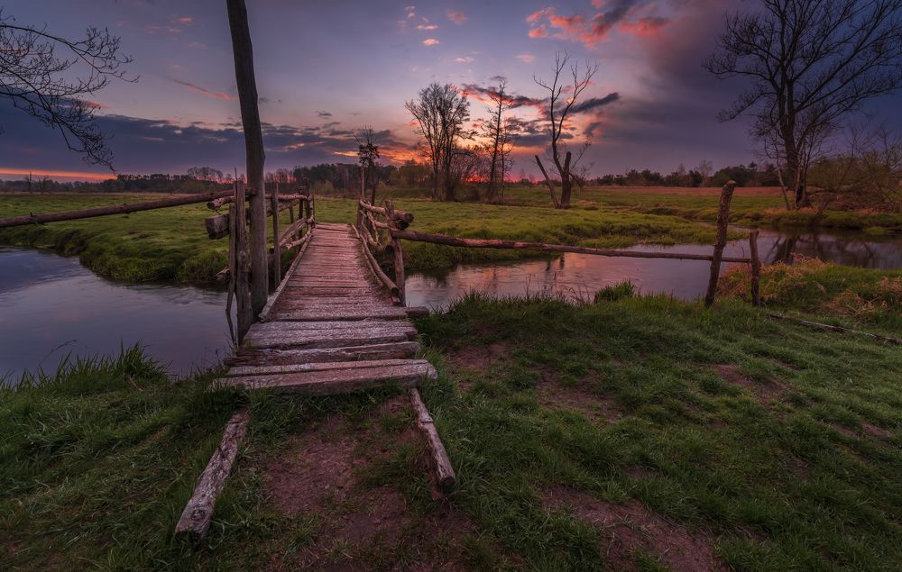 Photograph by 