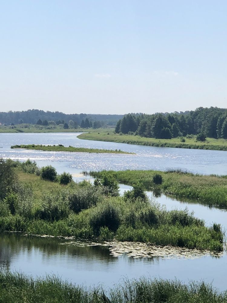 Фотография автора Наталья Васько -Черданцева